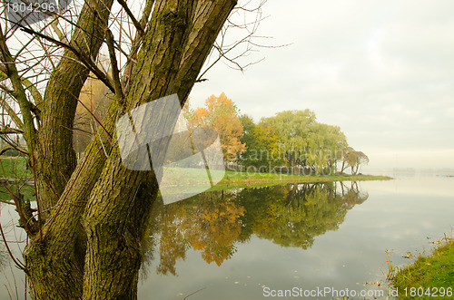 Image of morning mystical river lake and tree drown in fog 