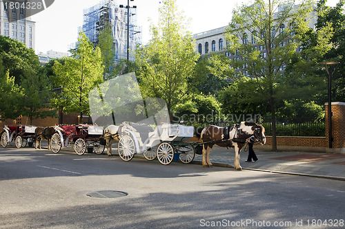 Image of Horse drawn carriages