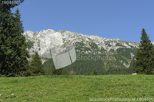 Image of Piatra Craiului Mountains