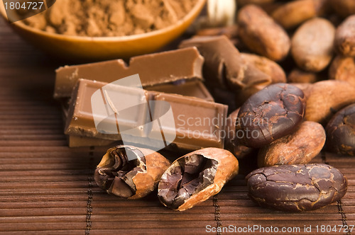 Image of Cocoa (cacao) beans with chocolate