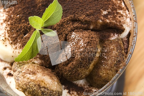 Image of Tiramisu Dessert 