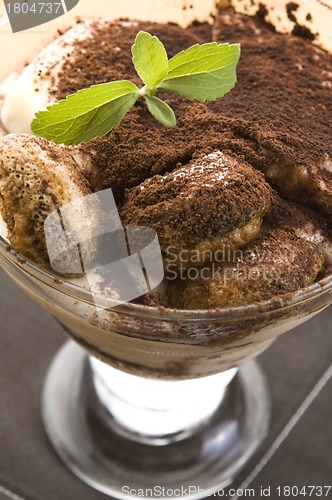 Image of Tiramisu Dessert 