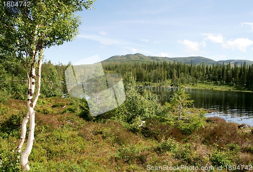 Image of Mountain landscape