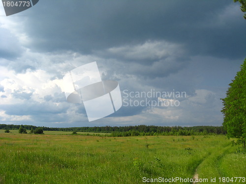 Image of beautiful landscape with young pines