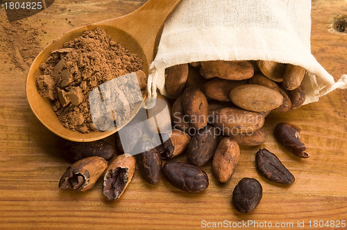 Image of Cocoa (cacao) beans on natural wooden table