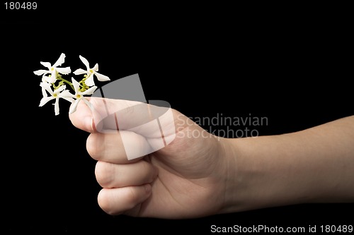 Image of Hands #18