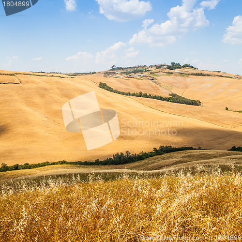 Image of Country in Tuscany