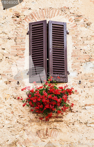 Image of Windows in Tuscany