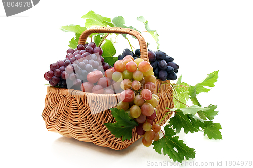 Image of Basket of grapes on a white background.