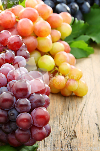 Image of Black and pink grapes closeup. 