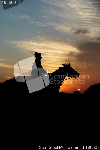 Image of horse and rider at sunrise