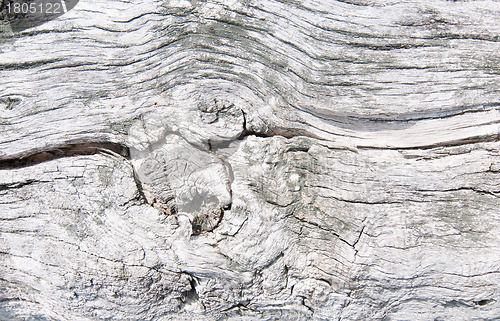 Image of wood