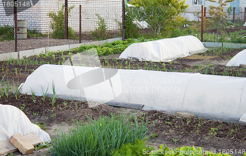 Image of Preparation of the garden before frost