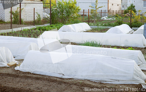 Image of Preparation of the garden before frost