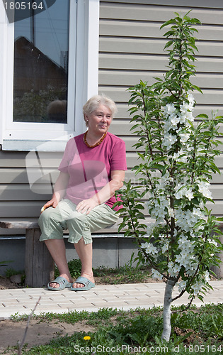 Image of Woman admires blossoming garden