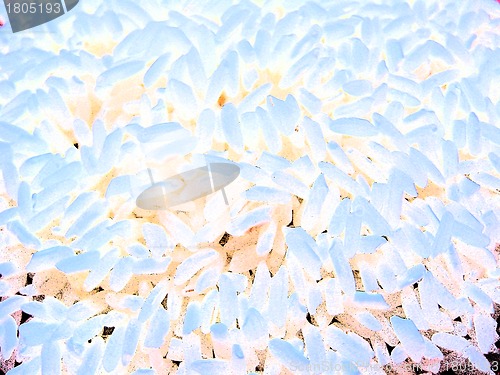 Image of Bacteria on a white background