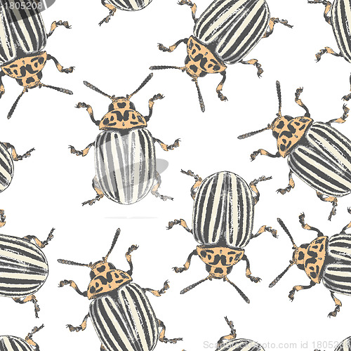 Image of Colorado beetles texture