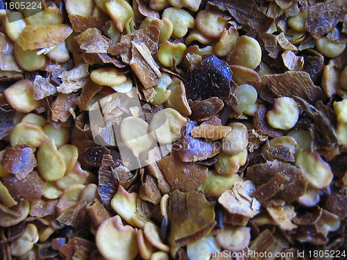 Image of Pepper Seeds Macro