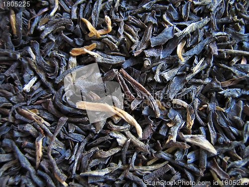 Image of Tea Macro