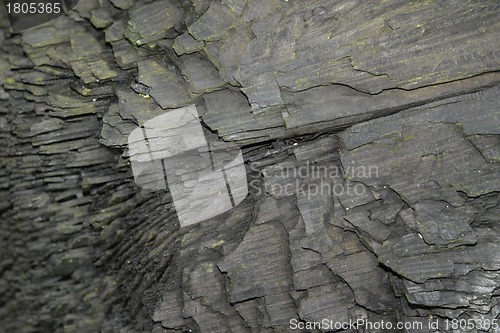 Image of charred wood detail