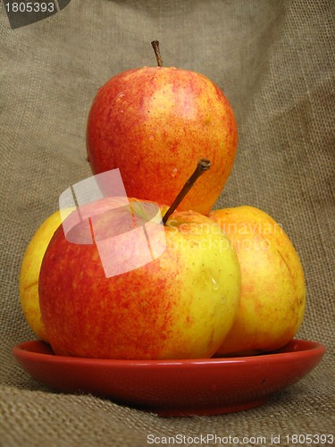 Image of apple on the brown background