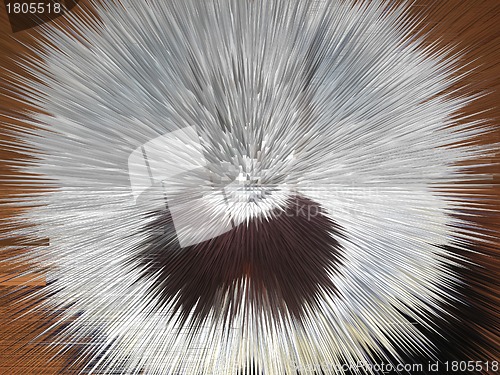 Image of White explosion