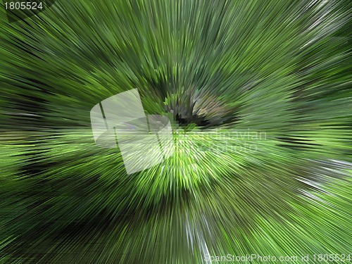 Image of Green unusual background