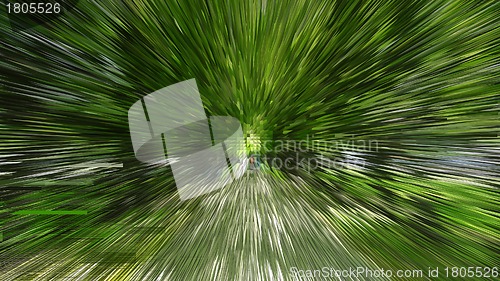 Image of Green unusual background