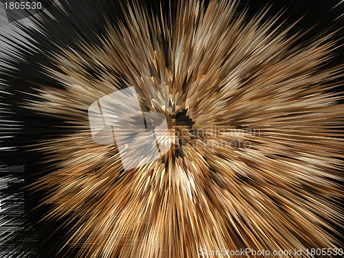 Image of Brown explosion