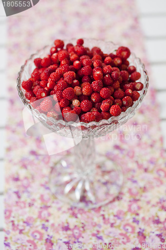 Image of Bowl of wild strawberries