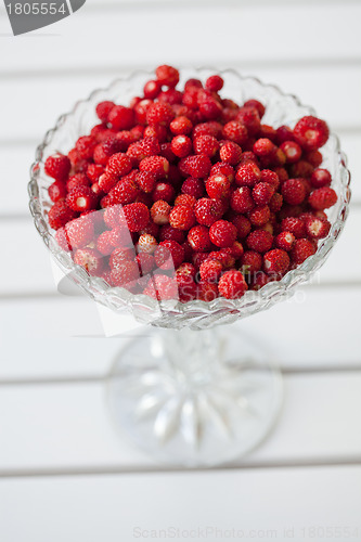 Image of Bowl of wild strawberries