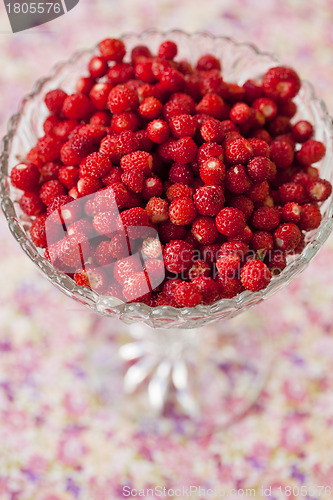 Image of Bowl of wild strawberries