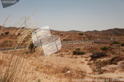 Image of Mount in the desert