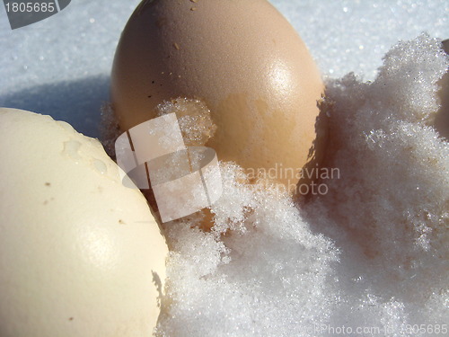 Image of Two eggs of turkey on the snow