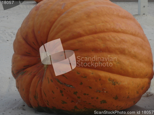 Image of Big Pumpkin
