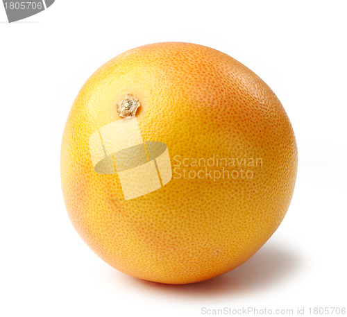 Image of fresh grapefruit