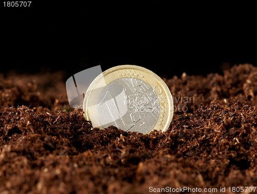 Image of euro money growing in the ground 