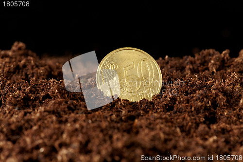 Image of euro money growing in the ground 