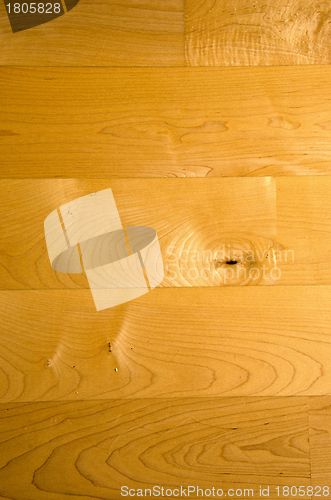 Image of Wooden floorboard fragment. Canadian maple. 