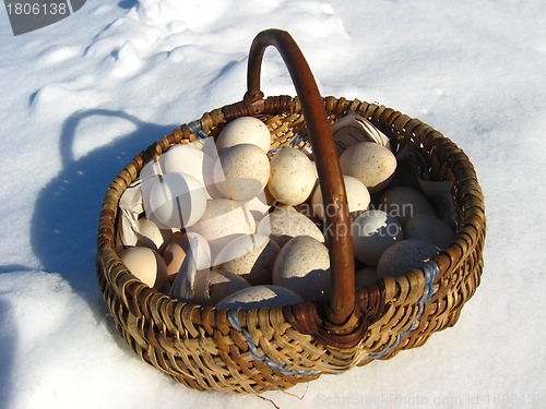 Image of Basket with eggs costing on a snow