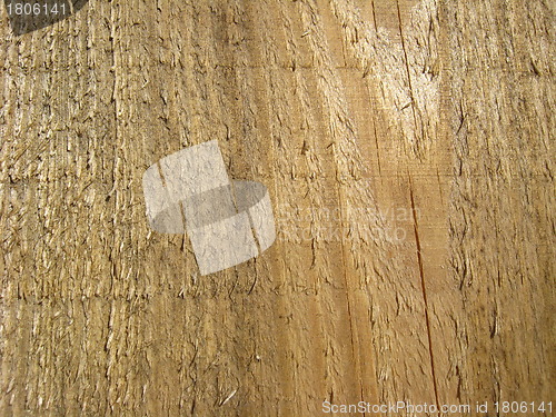 Image of Pattern on a cut of a tree