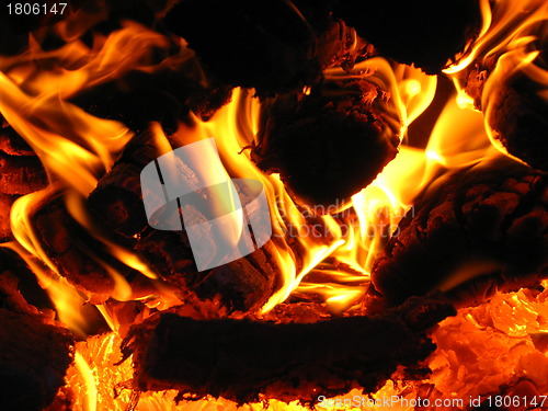 Image of Fire wood burning in the furnace