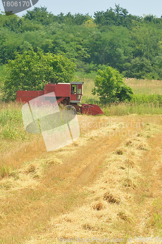 Image of Combine harvesting