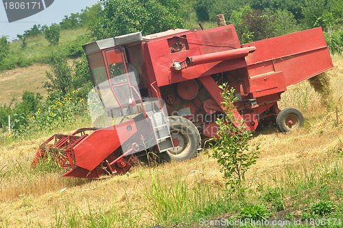 Image of Combine harvesting