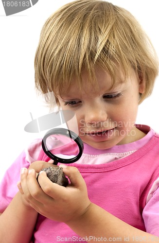 Image of Little geologist