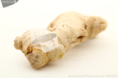 Image of ginger root