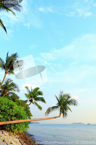 Image of landscape in sentosa, Singapore