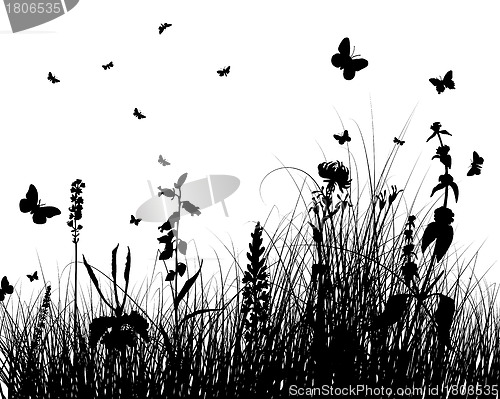 Image of meadow silhouettes