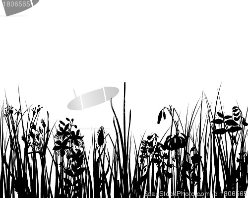 Image of meadow silhouettes