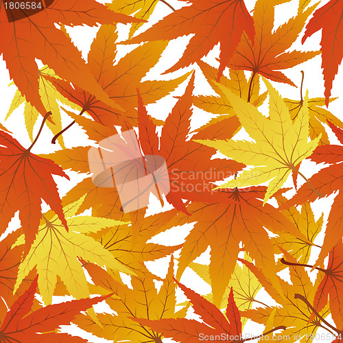 Image of seamless floral pattern